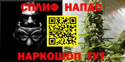 spice Новодвинск