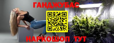 spice Новодвинск