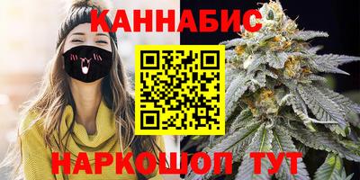 spice Новодвинск