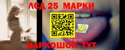 spice Новодвинск