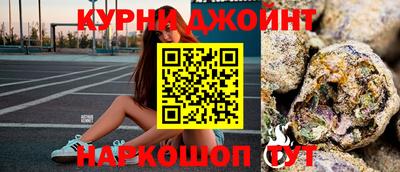 гашик Новозыбков