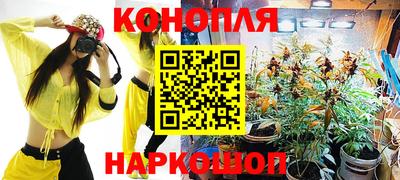 гашик Новозыбков