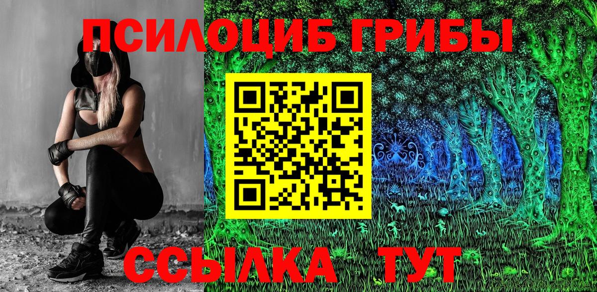 Псилоцибиновые грибы Psilocybine cubensis  Галлюциногенные грибы мицелий  Вход с VPN  Тайшет 